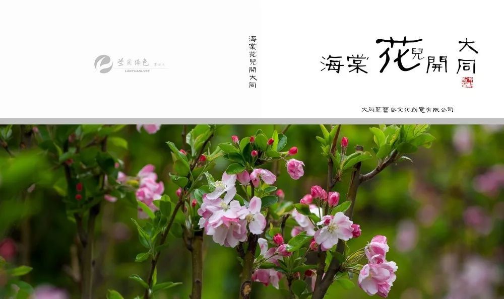 2018首届中国·大同海棠花会在西城墙海棠公园启幕-大同E网