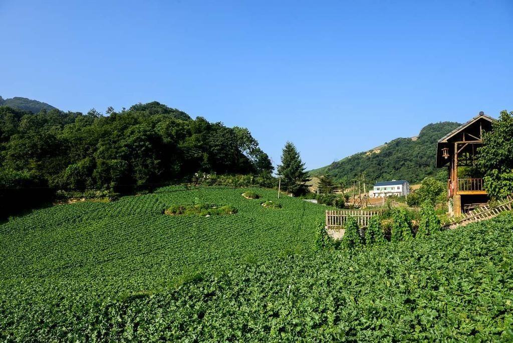 阳高县建设国家农村产业融合发展示范园千亩采摘园-大同E网