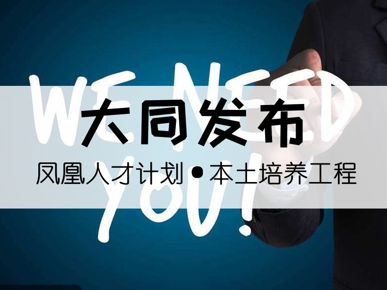 大同发布人才引进六大计划与人才培养十大工程-大同E网