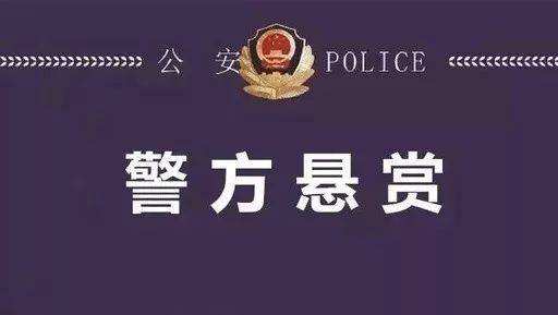 我市警方发布悬赏令 通缉38名涉黑涉恶在逃犯罪嫌疑人-大同E网