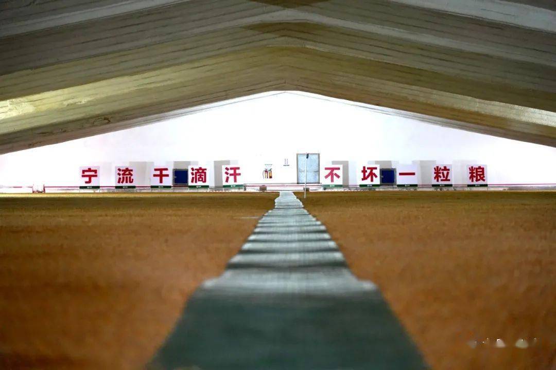 中央储备粮大同直属库有限公司党总支书记、总经理江豆严重违纪违法被“双开”-大同E网